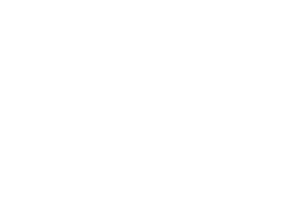 Nusa rempah Export - Premium Indonesian Turmeric for Global Markets (1)